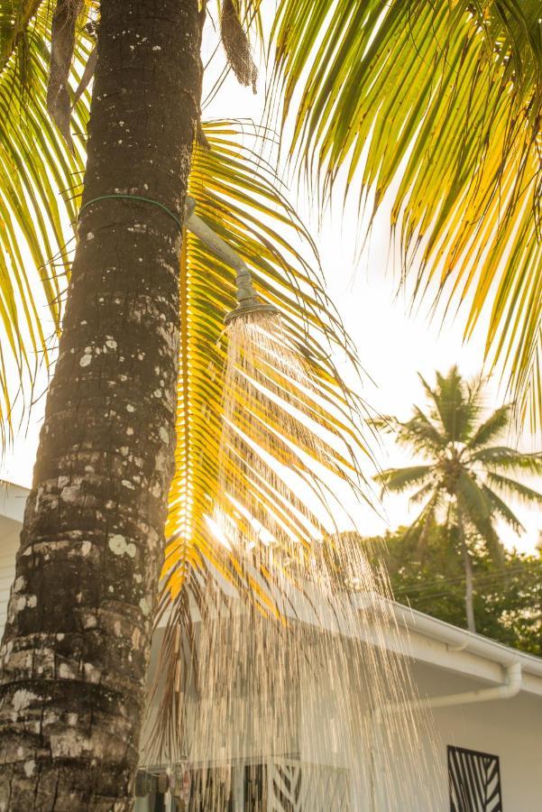 Le Nautique Beachfront Apartments Anse Royale Exterior foto